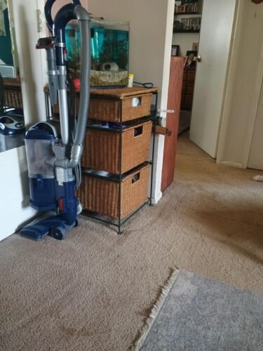 Shark Upright Vacuum. Navigator Lift-Away Deluxe with Large Dust Cup Capacity. HEPA Filter. Swivel Steering. Upholstery Tool & Crevice Tool. Blue. NV360 photo review