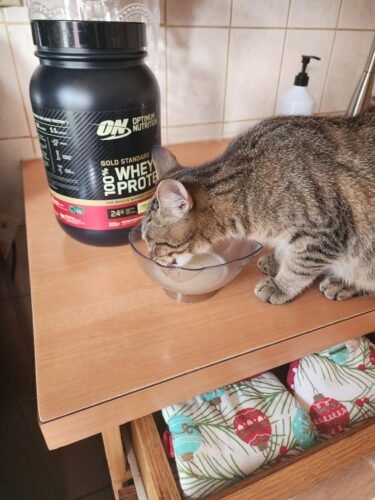 Optimum Nutrition Gold Standard 100% Whey Protein Powder. Chocolate Peanut Butter. 2 Pound (Packaging May Vary) photo review