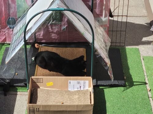 FUKUMARU Cat Scratcher Mat. 23.6 X 15.7 Inch Natural Sisal Cat Scratch Mats. Horizontal Cat Floor Scratching Pad Rug with Sticky Tapes. Protect Couch and Carpets photo review