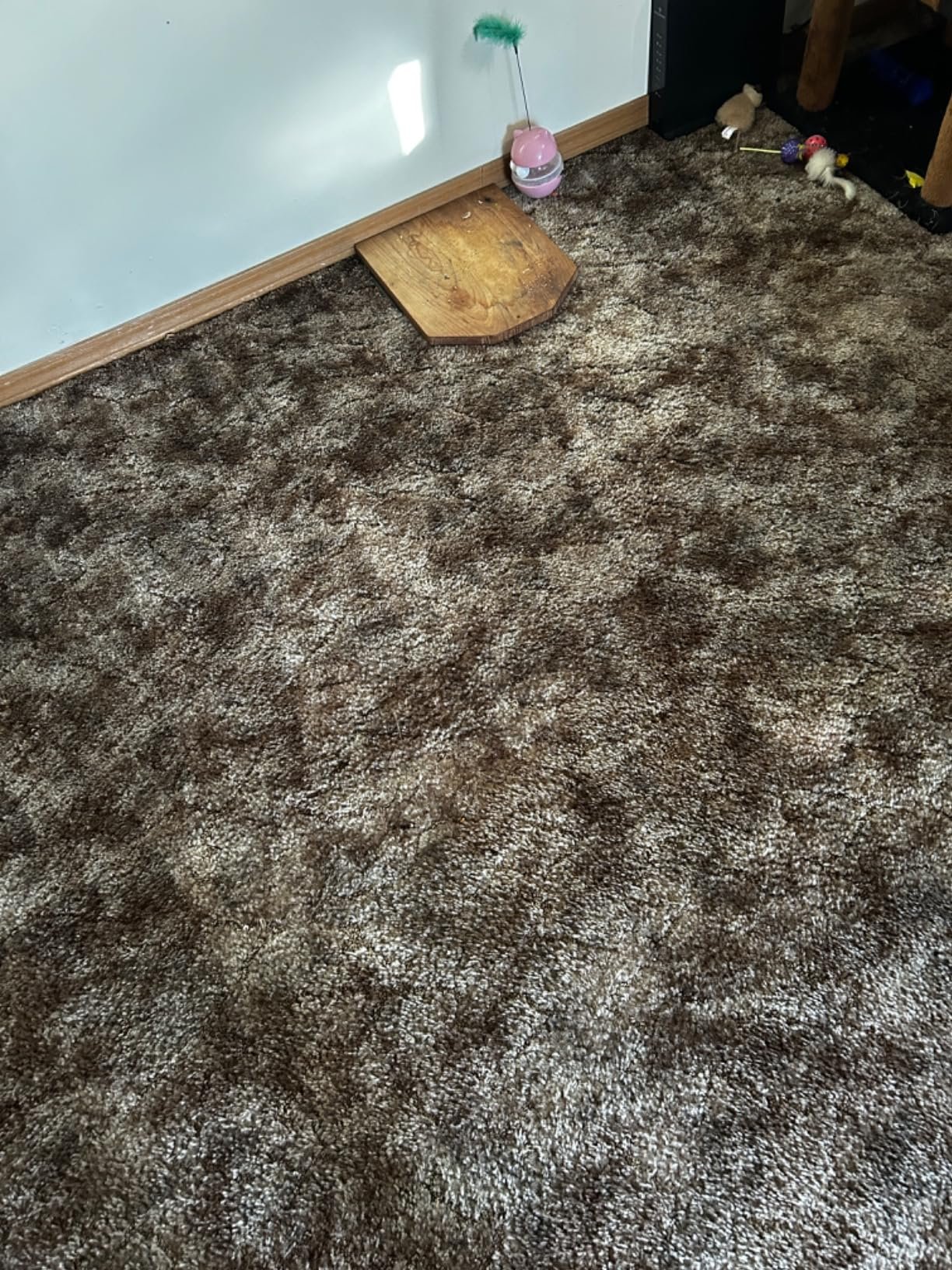 Shark Upright Vacuum. Navigator Lift-Away Deluxe with Large Dust Cup Capacity. HEPA Filter. Swivel Steering. Upholstery Tool & Crevice Tool. Blue. NV360 photo review