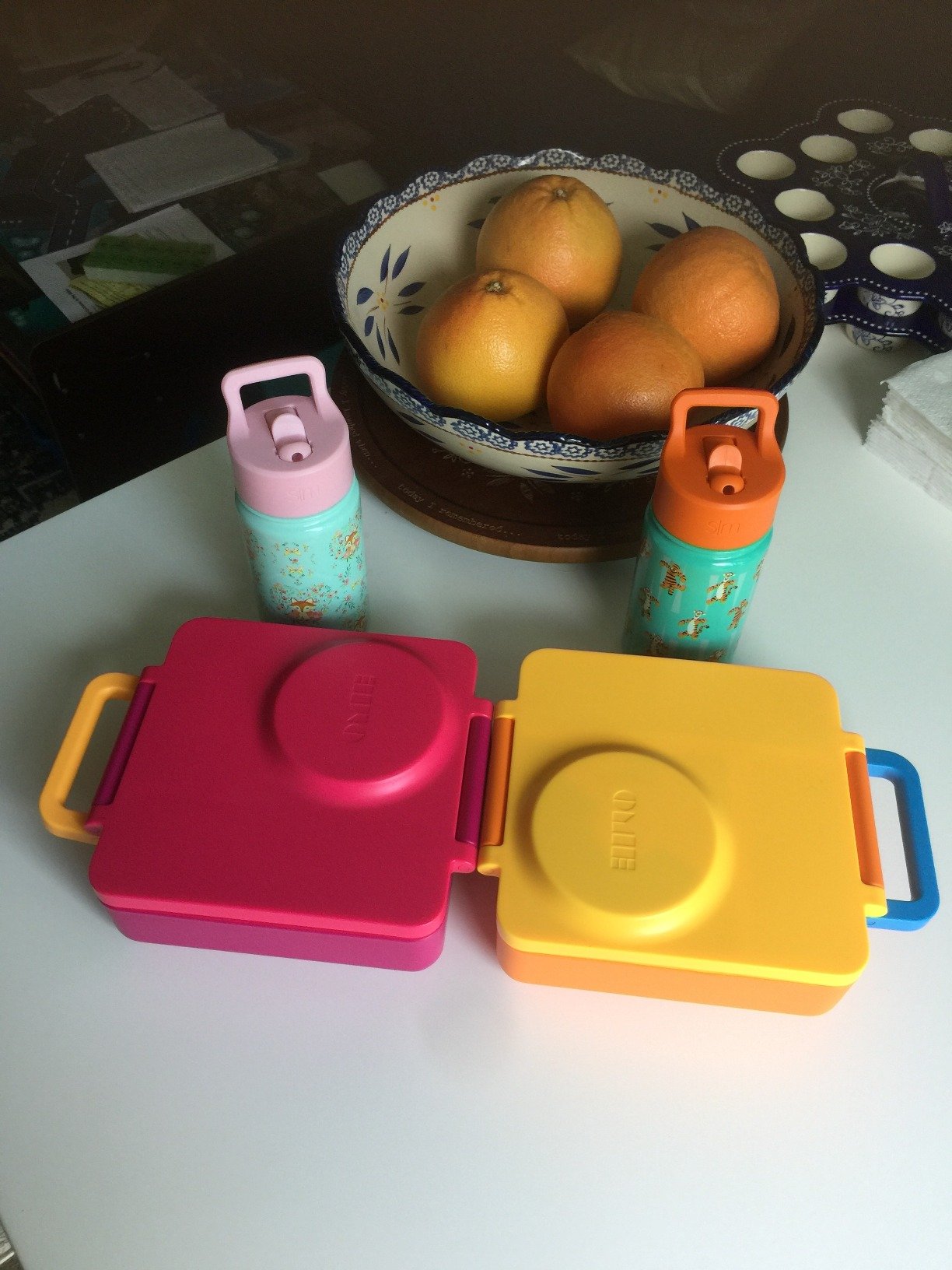 Omie OmieBox Bento Box for Kids - Insulated Lunch Box with Leak Proof Food Jar - 3 Compartments. 2 Temperature Zones - (Meadow) photo review