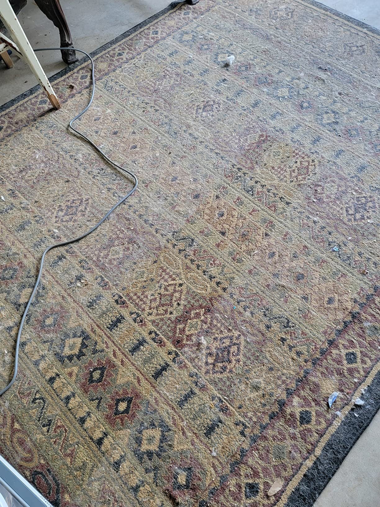 Shark Upright Vacuum. Navigator Lift-Away Deluxe with Large Dust Cup Capacity. HEPA Filter. Swivel Steering. Upholstery Tool & Crevice Tool. Blue. NV360 photo review