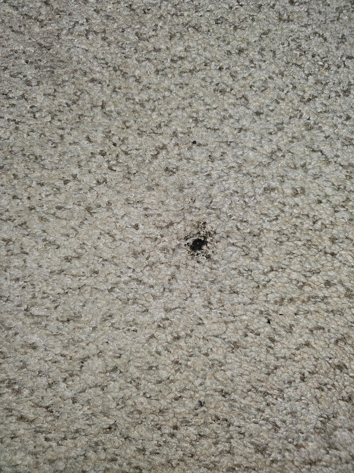 DREO Space Heater. 1500W Electric Heaters for Indoor Use with Thermostat. 70° Oscillation. 8 Safety Protections. 5 Modes. Remote. 12H Timer. Quiet Portable Heater for Office. Bedroom. Large Room photo review