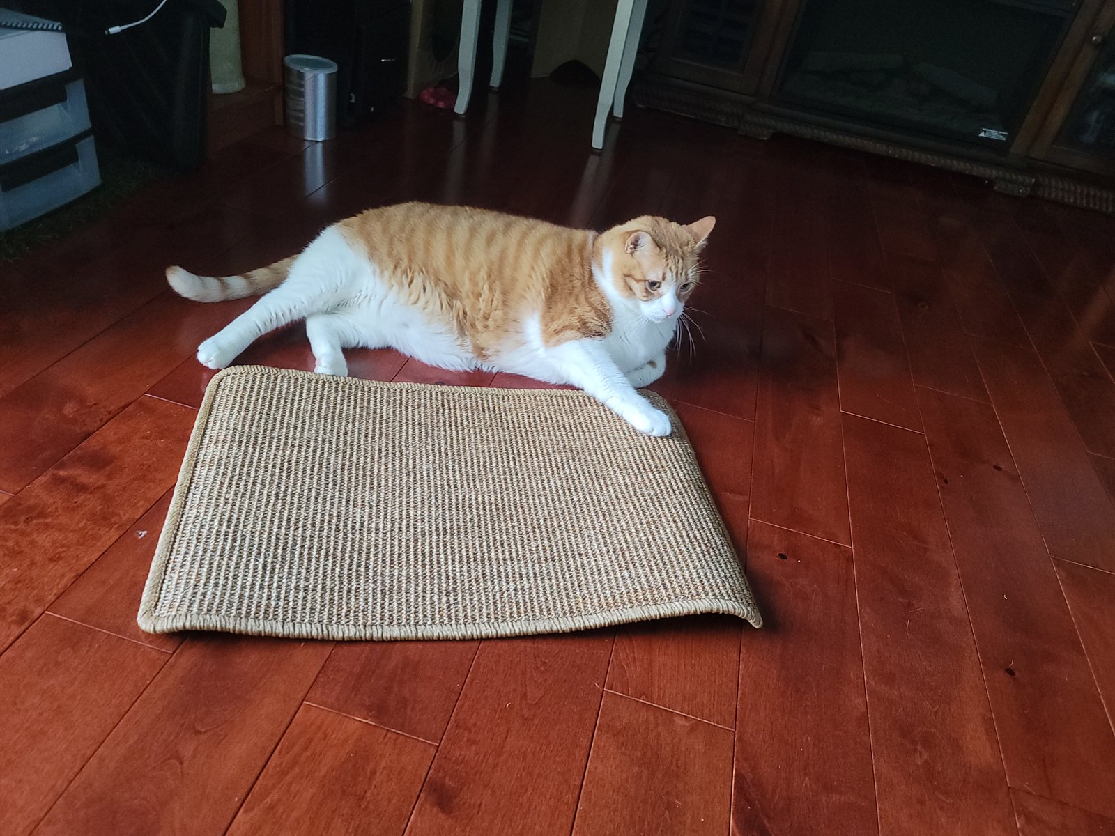 FUKUMARU Cat Scratcher Mat. 23.6 X 15.7 Inch Natural Sisal Cat Scratch Mats. Horizontal Cat Floor Scratching Pad Rug with Sticky Tapes. Protect Couch and Carpets photo review